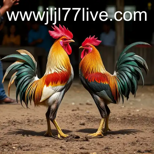 The Allure of Sabong Games in the Digital Era